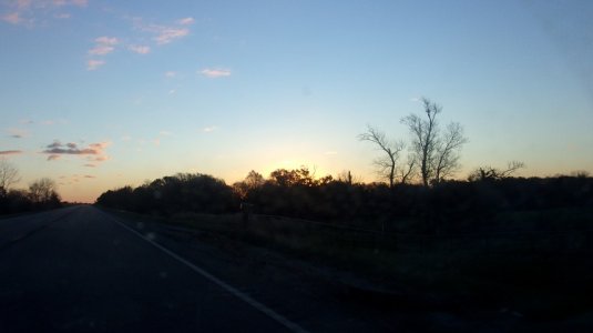 100_0087.JPG