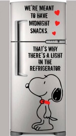 Light in frig.jpg
