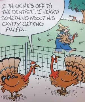 Turkey cavity filled.jpg