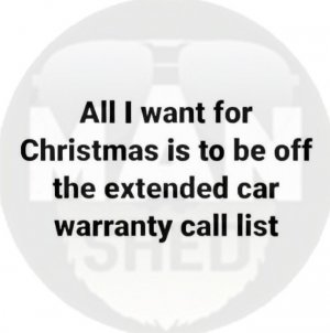 Want for Christmas.jpg