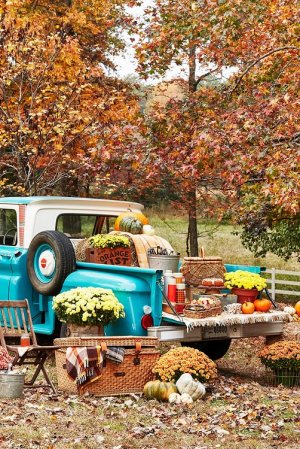 thanksgiving-decor-clx110118welltailgating-14-1562782575.jpg