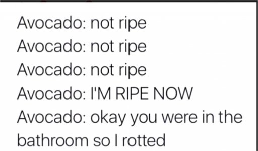 avocado.jpg