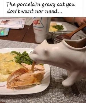 FB_IMG_1636778060252.jpg