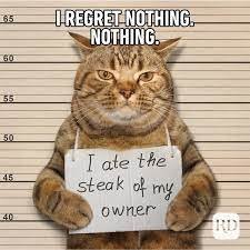 images (10).jpg