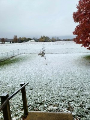11-14-21 first snow.jpg