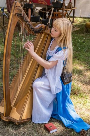 HARP-9.jpg HARP-9.jpg