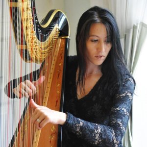 HARP-4.jpg HARP-4.jpg