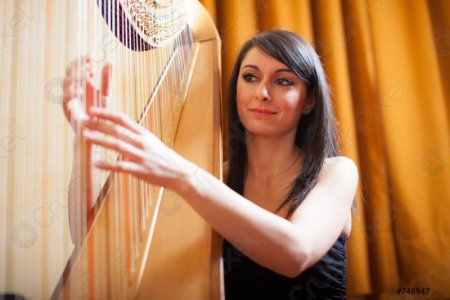 HARP-3.jpg HARP-3.jpg