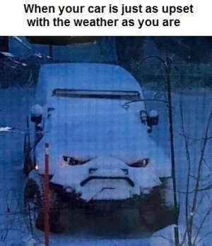 car.jpg