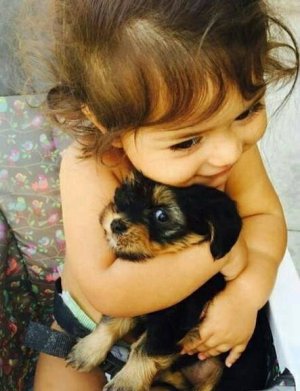 Cute Little Girl & Puppy.jpg