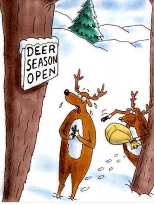 Deer season.jpg