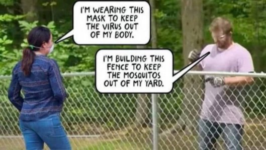 mosquitos.JPG
