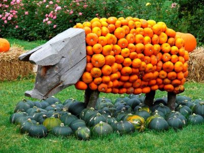 06Pumpkins.jpg