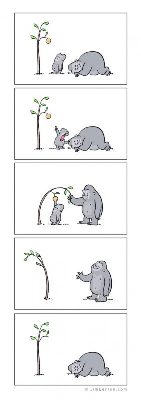 funny_animal_cartoons_03.jpg