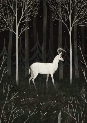 tumblr_pae49jtn7W1tqlr5ro1_1280.gif