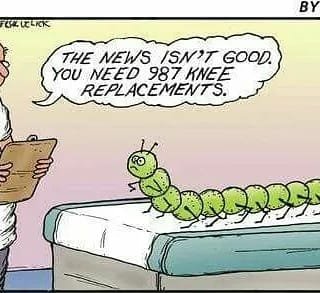 987 Knee replacements.jpg