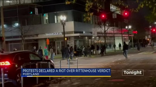 Portland Riot-7.jpg