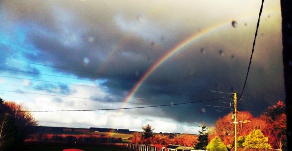 rainbow.jpg