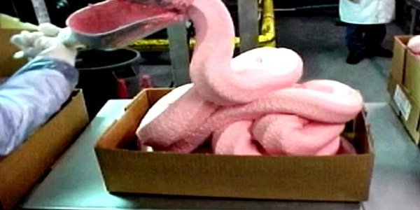 pink slime.jpg
