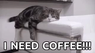 cat-i-need-coffee.gif