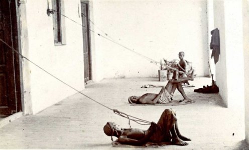 india3.jpg