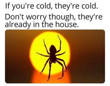 257494184_4794754387203238_4519773726200462332_n.jpg