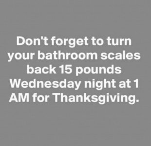 Bathroom scales.jpg