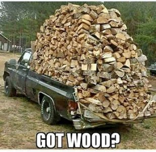 winter wood.jpg