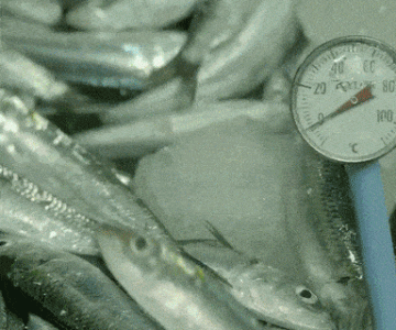 0321A6BE-F3CC-490A-A2E0-F15A0949784E.gif