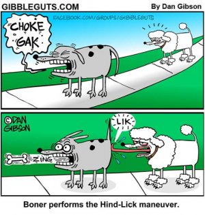 Hind lick manover.jpg