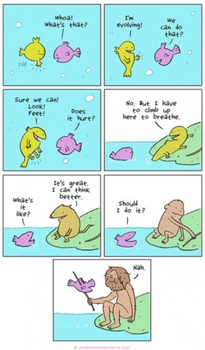 funny_animal_cartoons_22.jpg