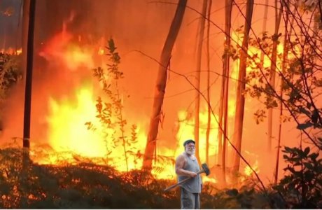 back yard burning.jpg