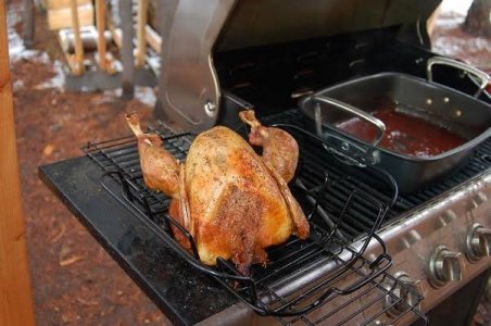 turkey in the woods.jpg