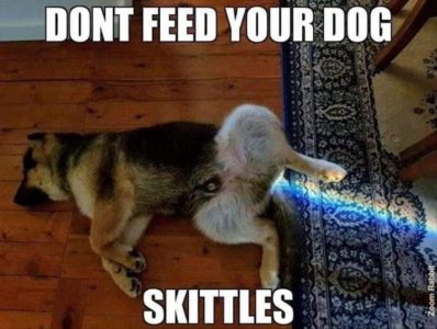 feeding-dog-skittles.jpg