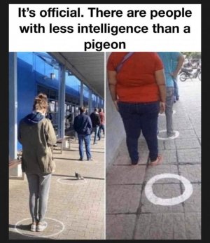 Social-Distancing-funny-Memes-.jpg