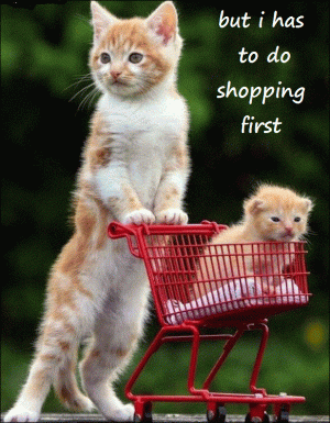 shopping cat.GIF