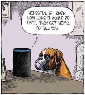 alexa..jpg