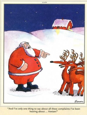 Far Side.jpg