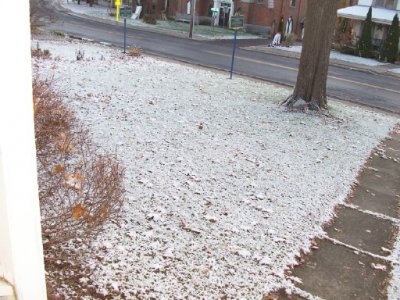 snow 11-27-21.jpg