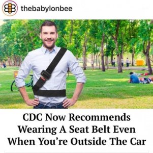 covid joke seatbelt.jpg