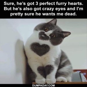Dumpaday-animal-memes-1.jpg