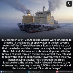 59691F2D-778E-4262-8C1F-1AF40D559119.jpeg