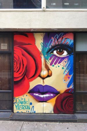 Mural-24-Face-door-mural-by-@daniellabknyc.jpg