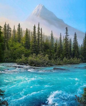 beautiful picture.jpg