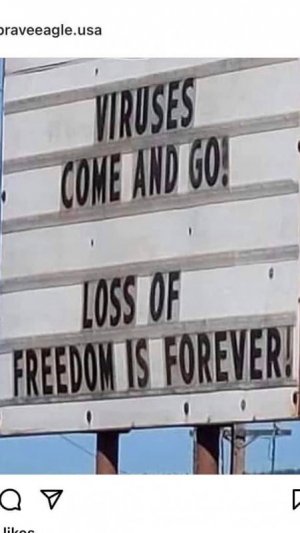 virus covid meme.jpg