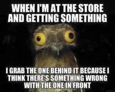 grabfrontone.jpg