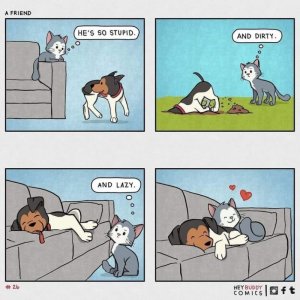 doglazy.jpg