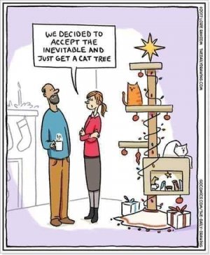 cattree2.jpg