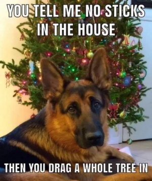 wholetreedog.jpg