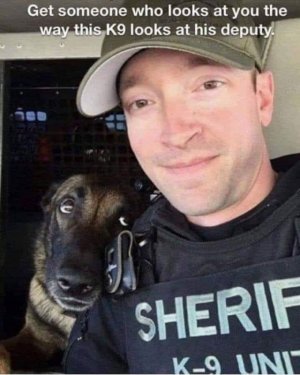 someonedogdeputy.jpg